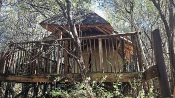Bush Camp Tents